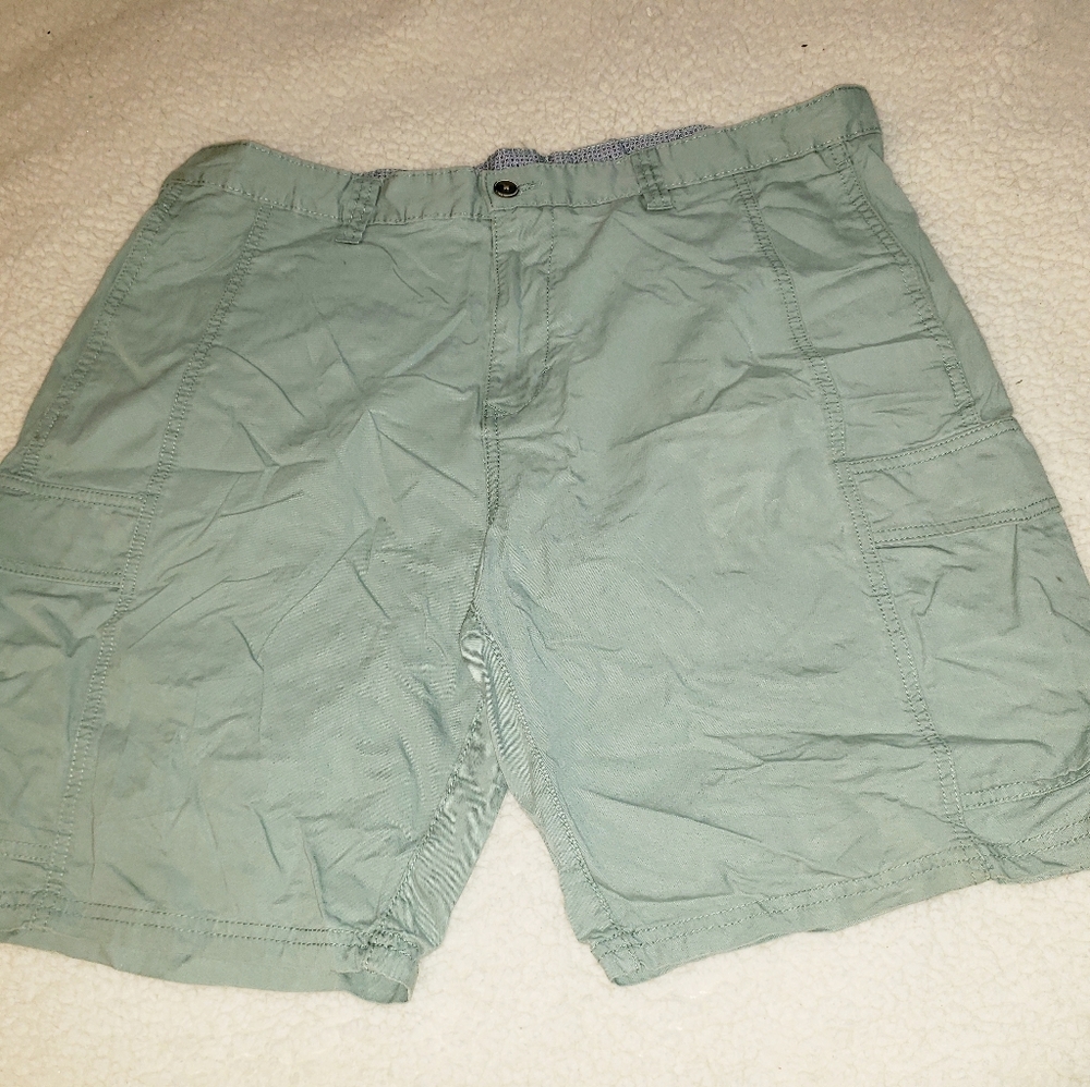 Ike by ike behar shorts Sz-38 green